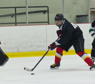 Hockey player skates and stickhandles the puck during a game