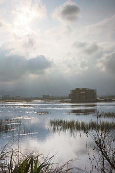 Landscape with a swamp, shot at Yilan county, Taiwan, Asia.