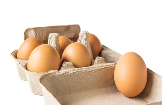 Egg box on white background