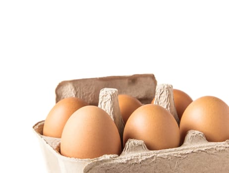 Egg box on white background