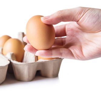 Woman hands with eggs on white background