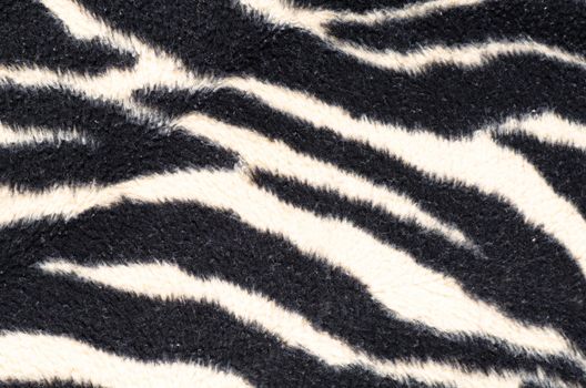 A thik warm zebra patterned blanket in a full frame take
