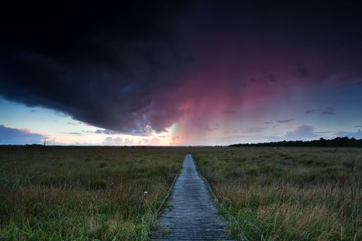 dramatic thunderstorm over path through swamps, Drenthe