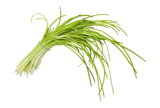 Chive isolated on the white background