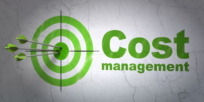 Success business concept: arrows hitting the center of target, Green Cost Management on wall background, 3d render