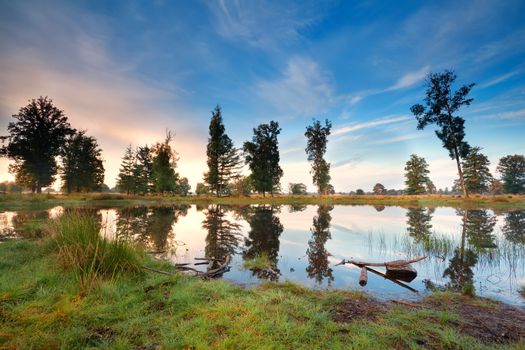 little wild lake and blue morning sky, Drents -Friese wold, Netherlands