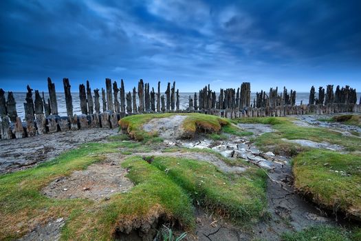 old dike and bottom texture at low tide