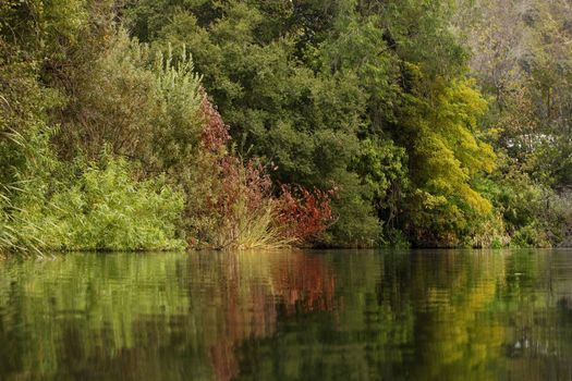 Autumn colorful foliage over lake with woods in red and yellow color