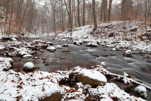 mountain river in winter forest covered with snow