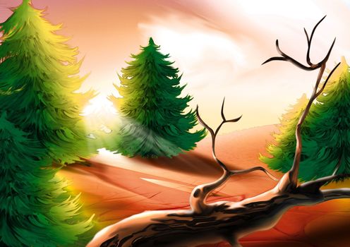 Deadwood And Conifers - Background Illustration
