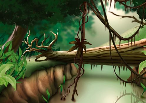 Jungle - Background Illustration