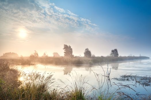 misty sunrise over water in  bog, Fochteloerveen, Netherlands