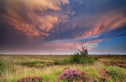 dramatic lenticular clouds over heathland at sunset