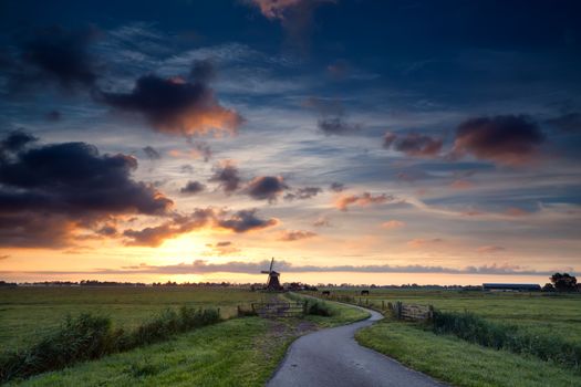  beautiful sunrise over Dutch windmill and pasture with horses, Holland