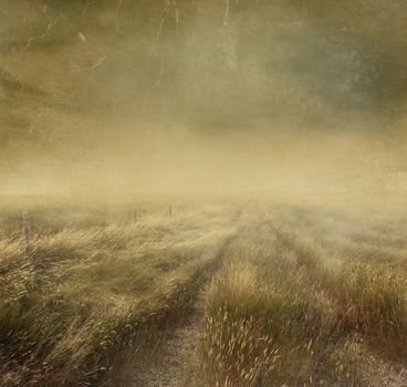 Prairie grasses with vintage color filters and textures