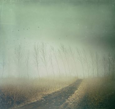 Country path in autumn fields with vintage texture