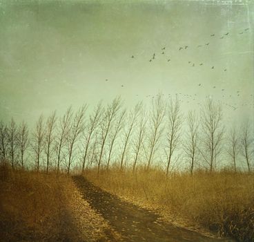 Country path in autumn fields with vintage texture