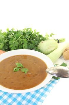 Oxtail soup with baguette on a bright background