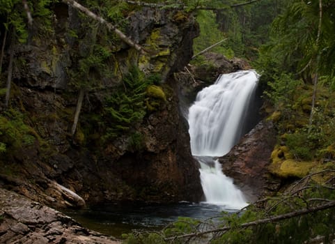 A lovely waterfall in the forest.