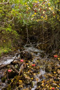 A lovely mountain stream showing a waterfall and fall foliage.