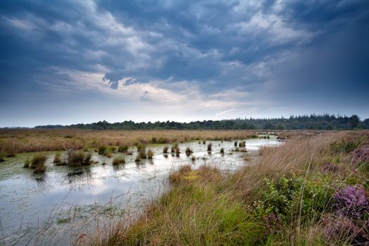 stormy clouded sky over swamp, Drenthe, Netherlands