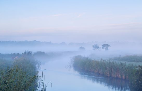 calm misty morning over river, Groningen, Netherlands