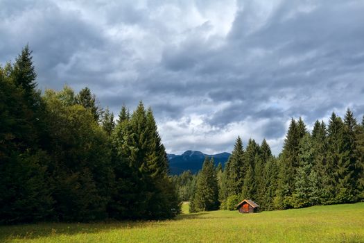 little hut on meadow in coniferous alpine forest, Bavarian Alps
