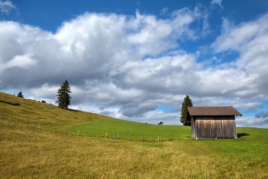 wooden hut on green alpine meadow, Bavarian Alps