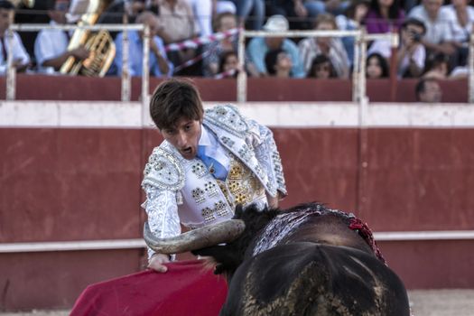 Beas de Segura, Jaen province, SPAIN - 11 october 2009: Bullfighter Alberto Lamelas bullfighting calling bull to attack on your next pass crutch in the Bullring of Beas de segura,  Jaen province, Andalusia, Spain