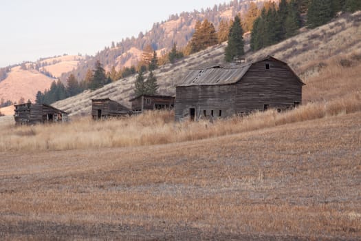 An old homestead or ghost town.