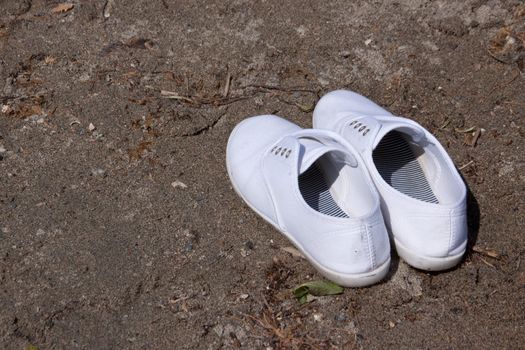 Shoes on a beach showing someone has shed their shoes for a walk on the beach.