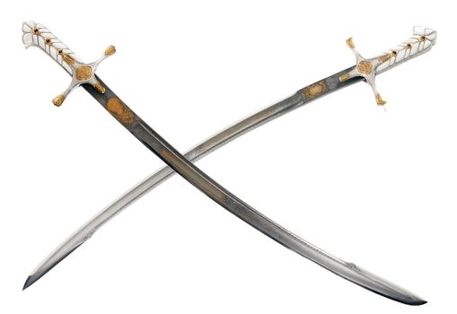 Ancient sabre. A smart variant of the fighting weapon