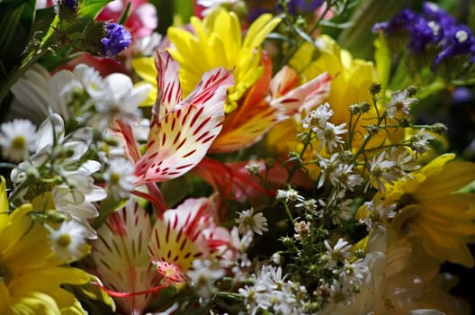 Close-up of wedding bouquet made of various flowers