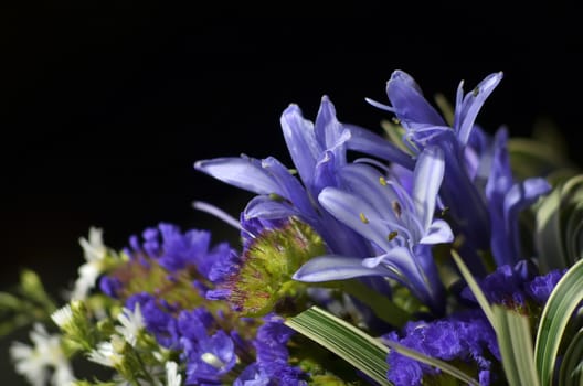 Close-up of purple wedding bouquet
