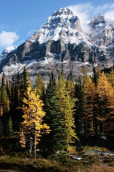 Mount Huber and Opabin Plateau, Yoho National Park, British Columbia, Canada