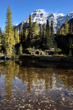 Mount Huber and Opabin Plateau, Yoho National Park, British Columbia, Canada