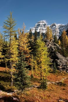 Mount Huber and Opabin Plateau, Yoho National Park, British Columbia, Canada