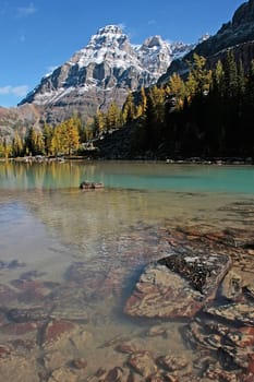 Mount Huber and Opabin Plateau, Yoho National Park, British Columbia, Canada