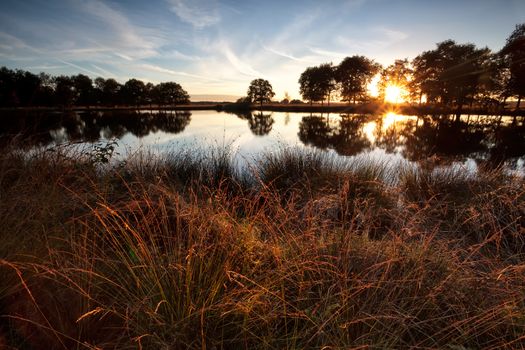 star sunbeams over wild lake at sunset, Dwingelderveld, Drenthe, Netherlands