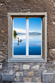 Surreal View of White Swan  through the Window
