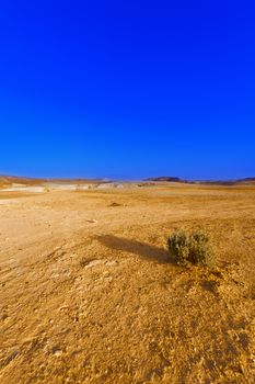 Desert on the West Bank of the Jordan River