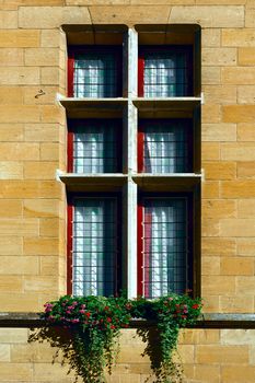 French Window Decorated with Fresh Flowers