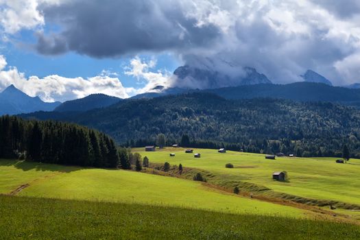 sunny rural meadows in Alps, Bavaria, Germany