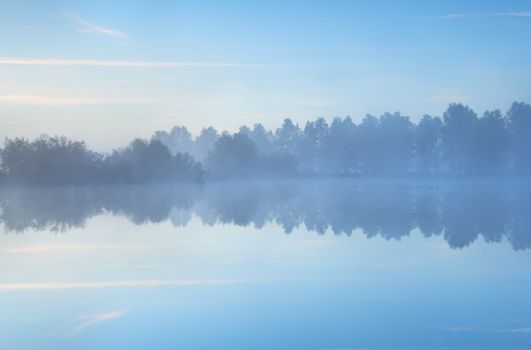 tranquil misty morning on wild lake