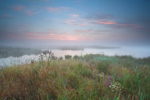 misty summer sunrise over river, Drenthe, Netherlands