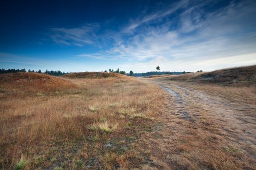 blue sky over dunes in Drents-Friese wold, Drenthe, Friesland, Netherlands