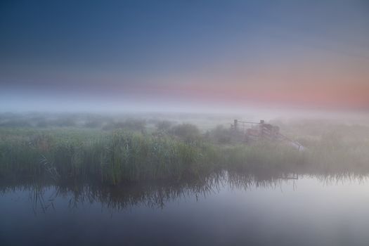 tranquil foggy morning in Dutch farmland, Holland