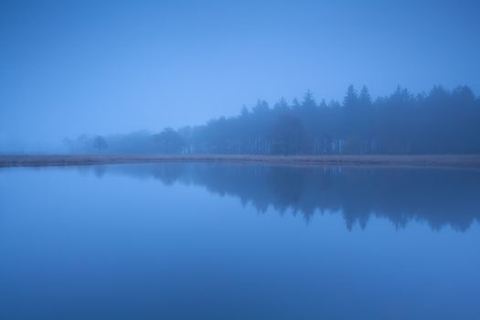 coniferous forest silhouette by lake in dense dusk fog, Duurswoudeheide, Friesland, Netherlands