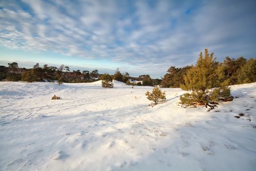 blue sky over snow hills and meadows, Gelderland, Netherlands