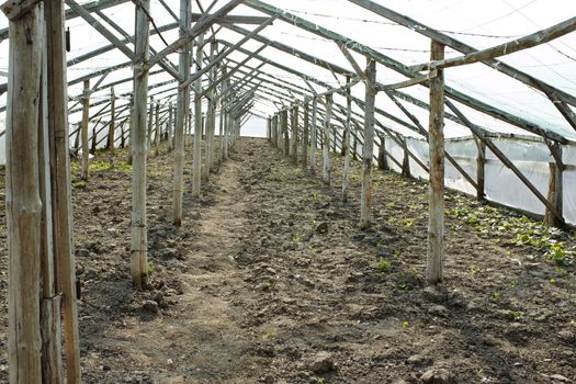 Empty old wooden film greenhouse in early springtime before planting seedlings of plants in soil